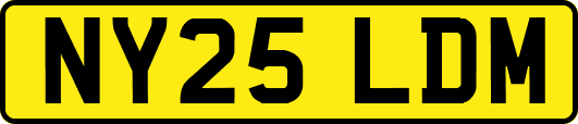 NY25LDM