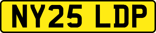 NY25LDP