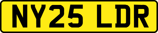 NY25LDR