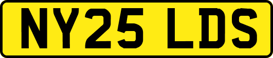 NY25LDS