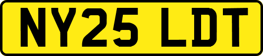 NY25LDT