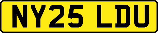 NY25LDU