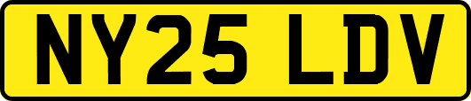 NY25LDV
