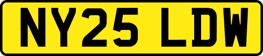 NY25LDW