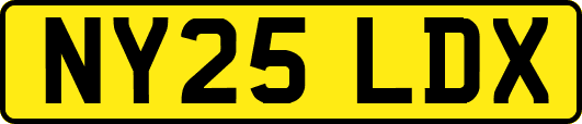 NY25LDX