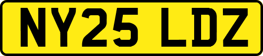 NY25LDZ