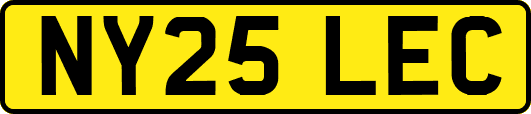 NY25LEC