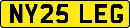 NY25LEG