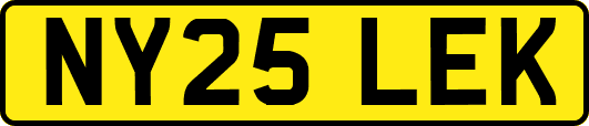 NY25LEK