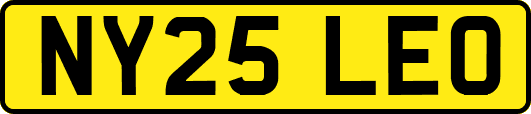 NY25LEO