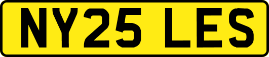 NY25LES
