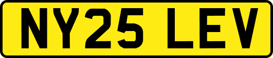 NY25LEV