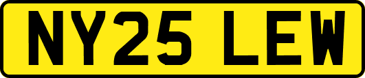 NY25LEW