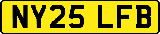 NY25LFB
