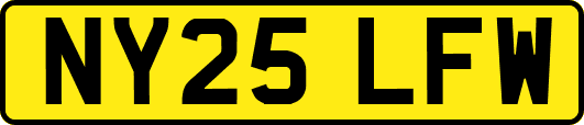 NY25LFW