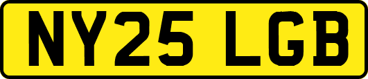 NY25LGB