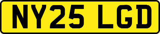 NY25LGD