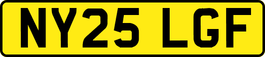 NY25LGF