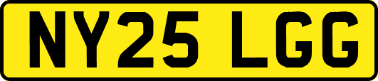 NY25LGG