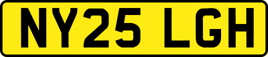 NY25LGH