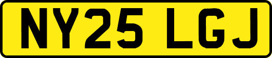 NY25LGJ