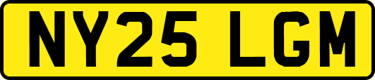 NY25LGM