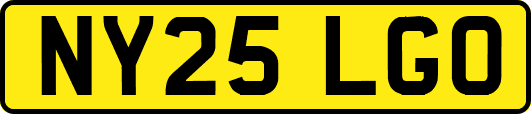 NY25LGO