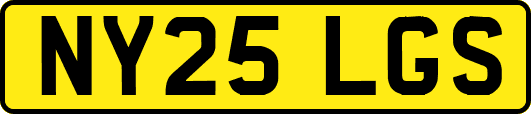 NY25LGS