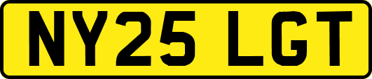 NY25LGT