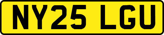 NY25LGU