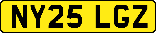 NY25LGZ