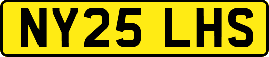NY25LHS