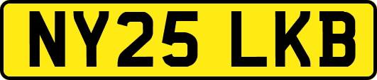 NY25LKB
