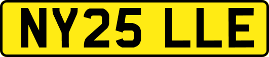 NY25LLE