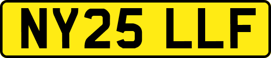NY25LLF