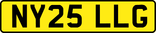 NY25LLG