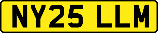 NY25LLM