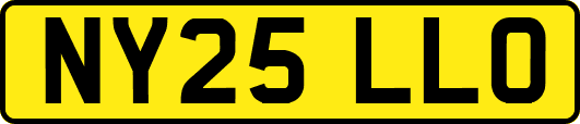 NY25LLO