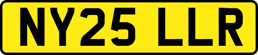 NY25LLR