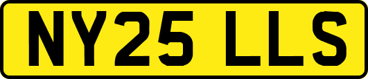 NY25LLS