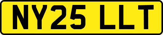 NY25LLT