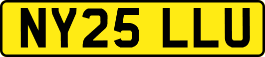 NY25LLU