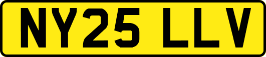 NY25LLV