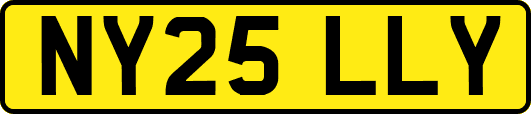 NY25LLY