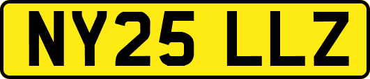 NY25LLZ