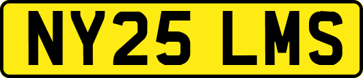 NY25LMS
