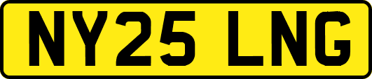 NY25LNG