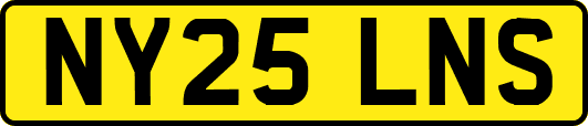 NY25LNS