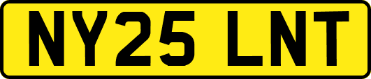 NY25LNT