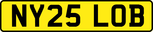 NY25LOB